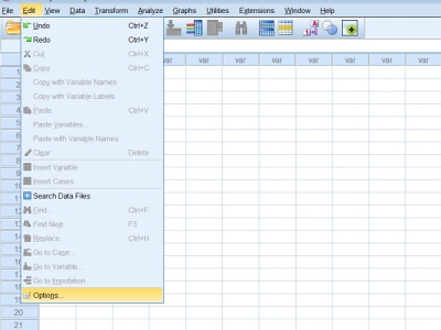 Spss en2cn1.jpg
