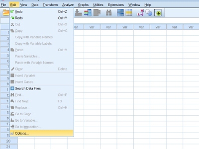 Spss en2cn1.jpg